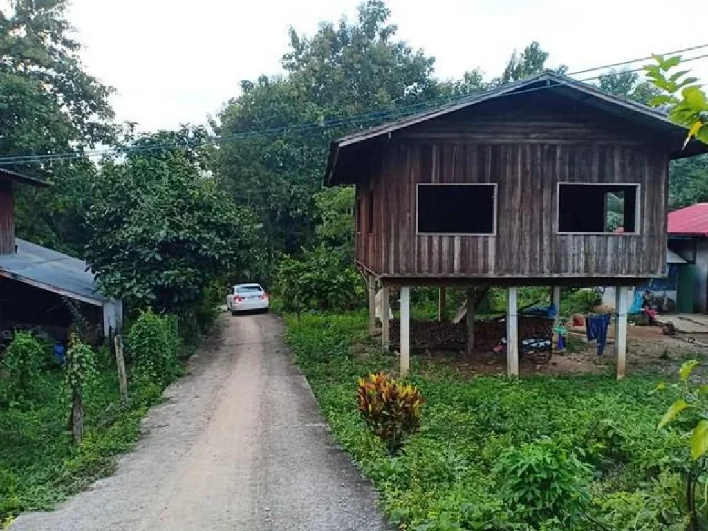 แนะนำที่ดินพร้อมขาย ที่ดินติดลำธาร จังหวัดน่าน