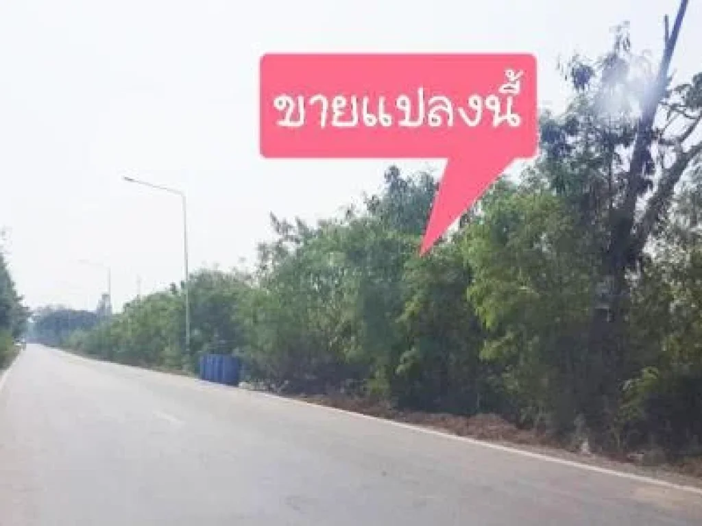 ขายที่ดินวังน้อย เนื้อที่ 49-1-47 ไร่