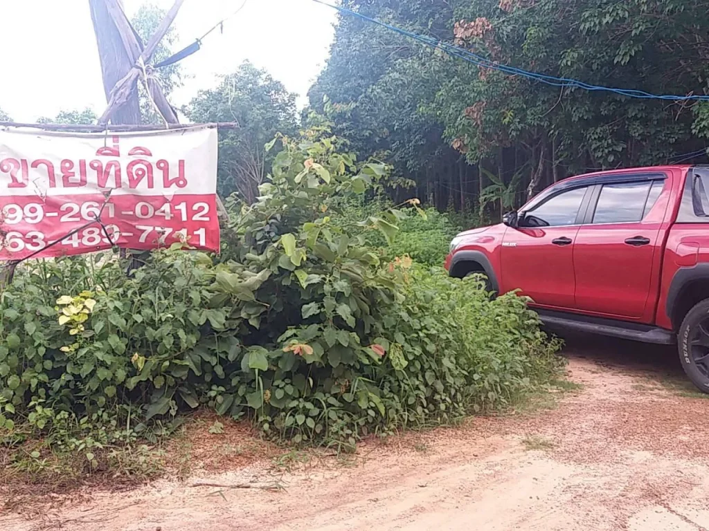 ด่วน เจ้าของขายเองที่ดิน 11 ไร่ อำเภอเดชอุดม อุบล