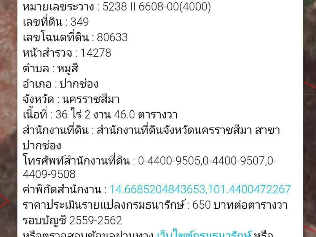 ขายที่ดินโฉนด นส4จ 36 ไร่ ไร่ล่ะ ราคา 15 ล้าน เขาใหญ่โซนหมูสี หมู่ที่14 บ้านเกาะแก้ว-บุ่งเตย