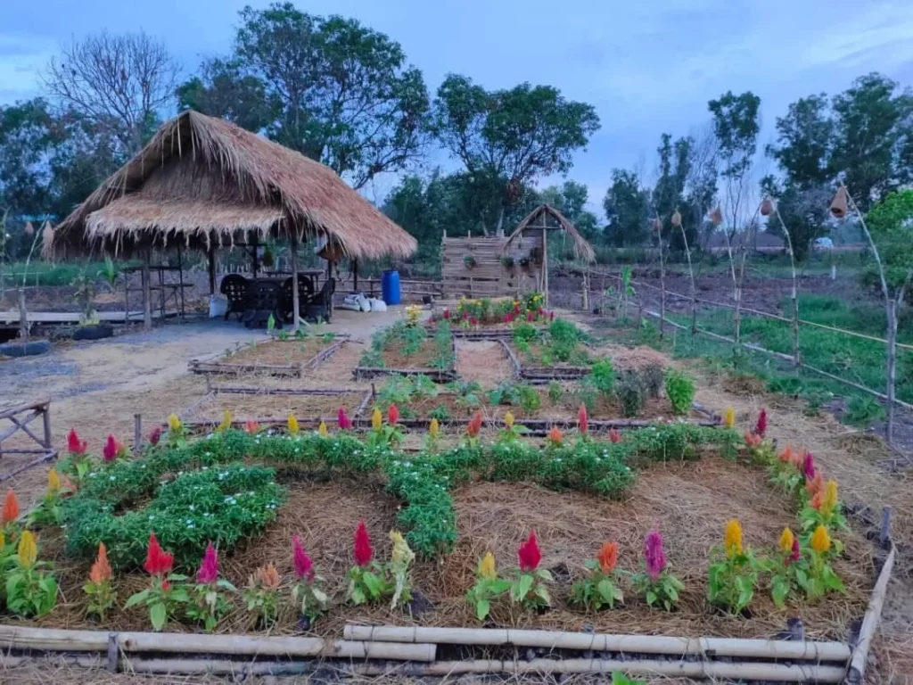 ที่ดินเงินผ่อน สวนมะลิ คลอง10 หนองเสือ ปทุมธานี