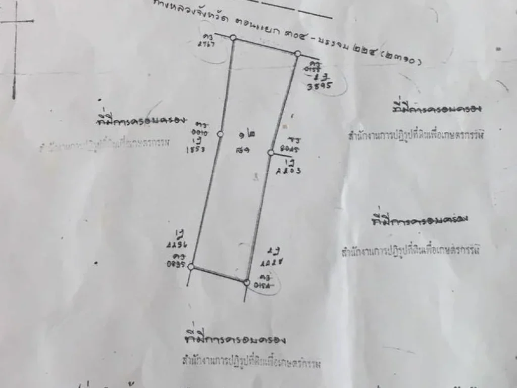 ที่ดินโฉนด หน้าสวนสัตว์ โคราชติดถนนใหญ่ ไร่ละ 2 ล้าน