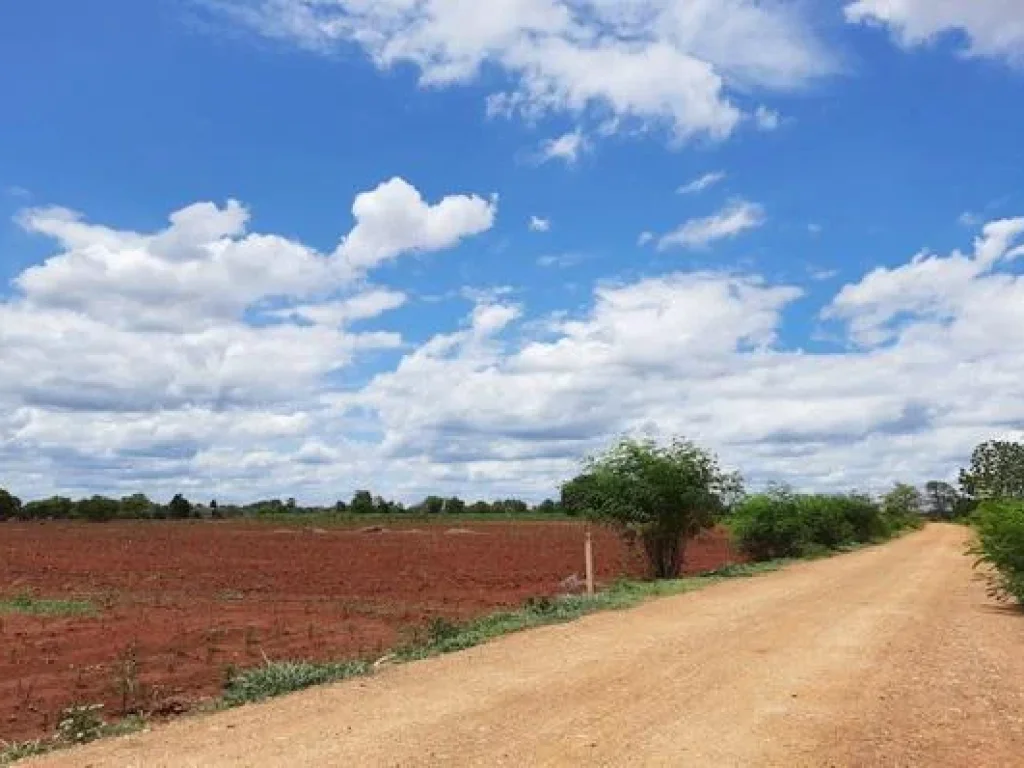 ที่ดิน7ไร่โฉนดไร่ละ130000ติดทางสาธารณะ ตหนองม่วง อหนองม่วง จลพบุรี