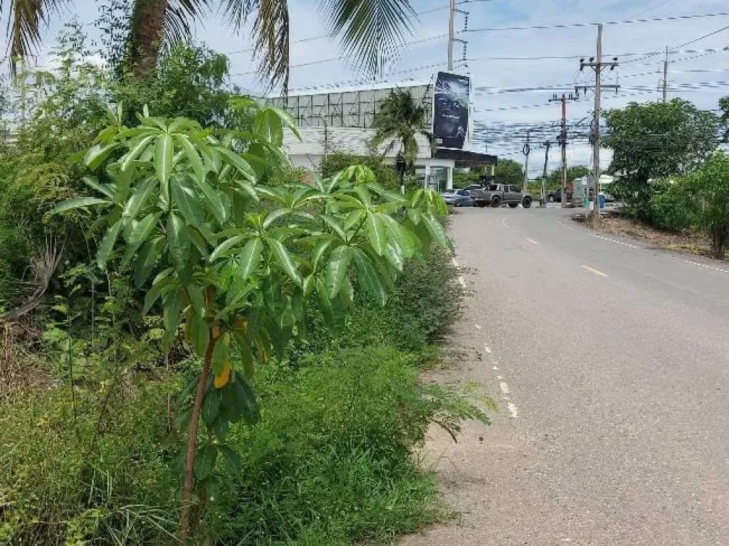 ขายที่ดิน ถนนสุวินทวงศ์ สี่แยกคอมเพล็กซ์ เยื้องห้างตะวันออกคอมเพล็กซ์ จฉะเชิงเทรา เนื้อที่3ไร่