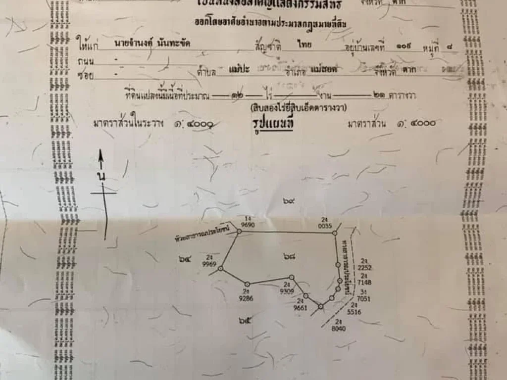 ที่ดินเปล่า 12 ไร่ อแม่สอด