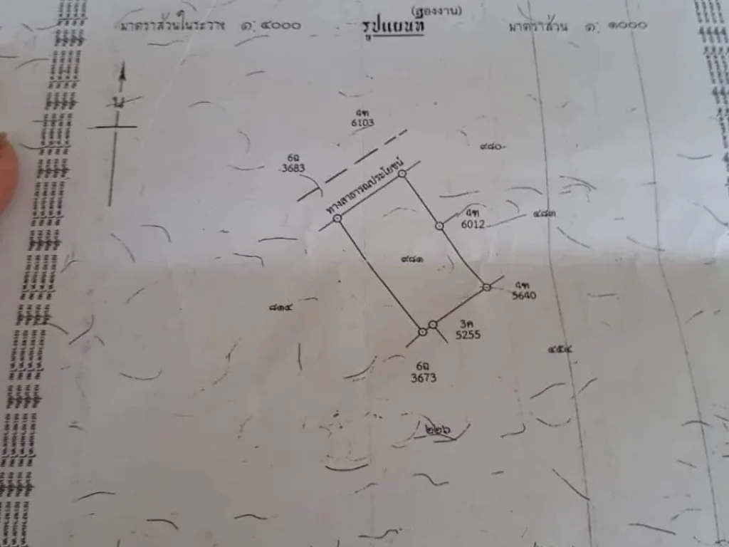 ขายที่ดิน2งานพร้อมบ้าน อยู่ ตะพงใน หนองกบ เมือง ระยอฃ