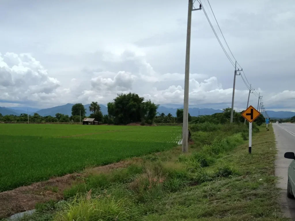 ที่นาติดถนนหลัก สันป่าตอง