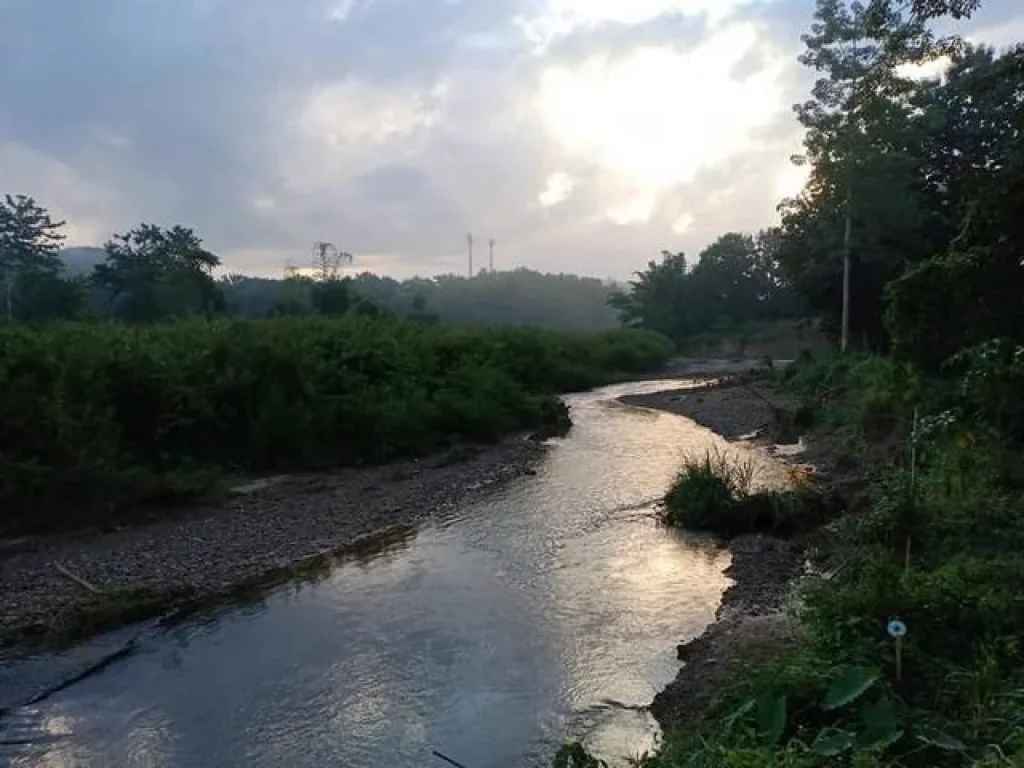 เจ้าของเสนอขายเอง ที่ดินติดลำธาร จังหวัดน่าน