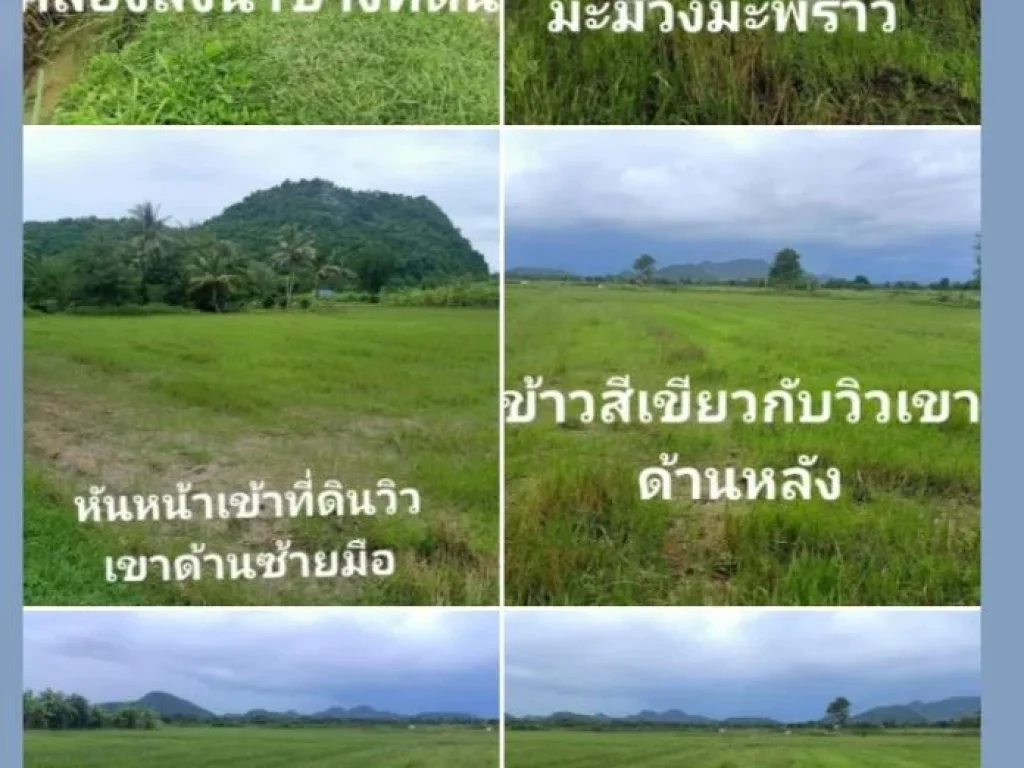 ที่นาถมแล้วบางส่วนวิวเขาติดคลอง2ด้าน6ไร่ๆละ3แสน5น้ำไฟพร้อมตนางแก้วอโพธารามจราชบุรี