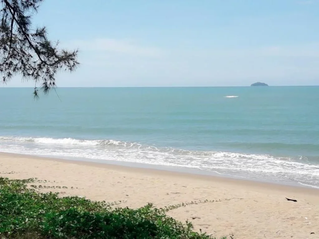 ขายที่ดินริมหาดแม่พิมพ์ โฉนดเกือบ 1 ไร่ ข้ามถนนเลียบทะเล ลงชายหาดสวยมาก