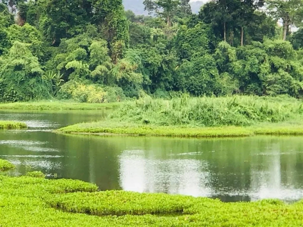 ท่านที่ชอบ สวน ติดคลอง โฉนด