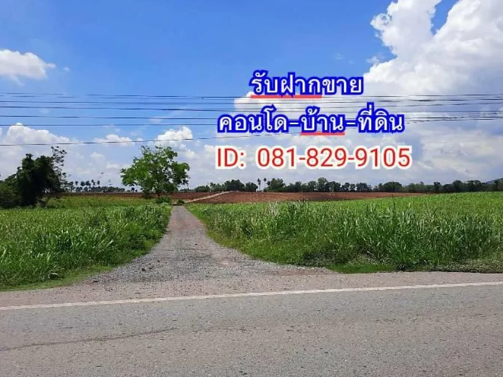 ที่ดิน 100 ไร่ ตพิมลราช อบางบัวทอง ติดถนน ติดคลอง