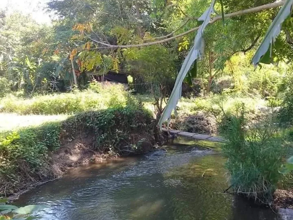 ขายที่ดินติดน้ำ บ้านแม่โป่ง ดอยสะเก็ต ราคาถูก