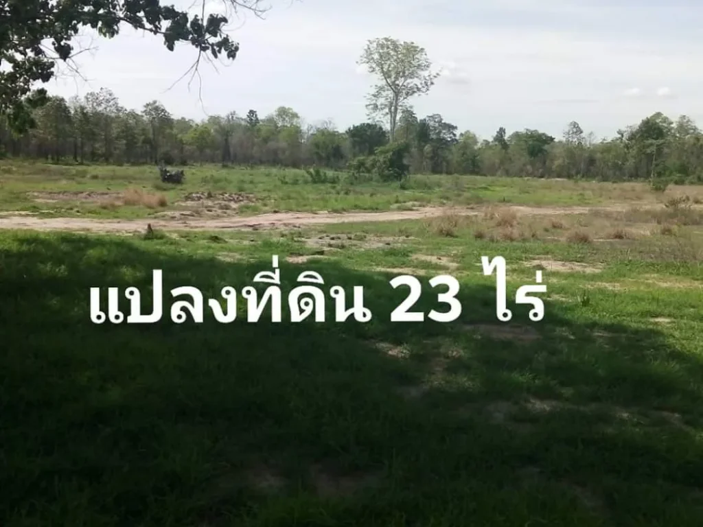 ขายถูกที่ดิน 23 ไร่ 92 ตรว หน้ากว้างติดถนน 196 เมตร