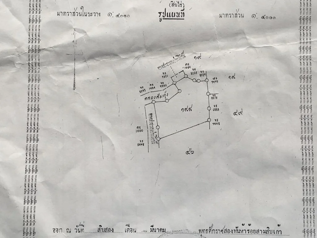 ขายที่ดิน 10 ไร่ ตรังกาใหญ่ หน้ากว้าง