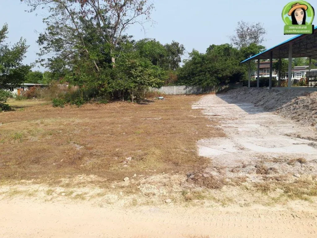 ที่ดินบ้านธาตุสำหรับสร้างบ้านวารินชำราบ ราคาถูกๆ