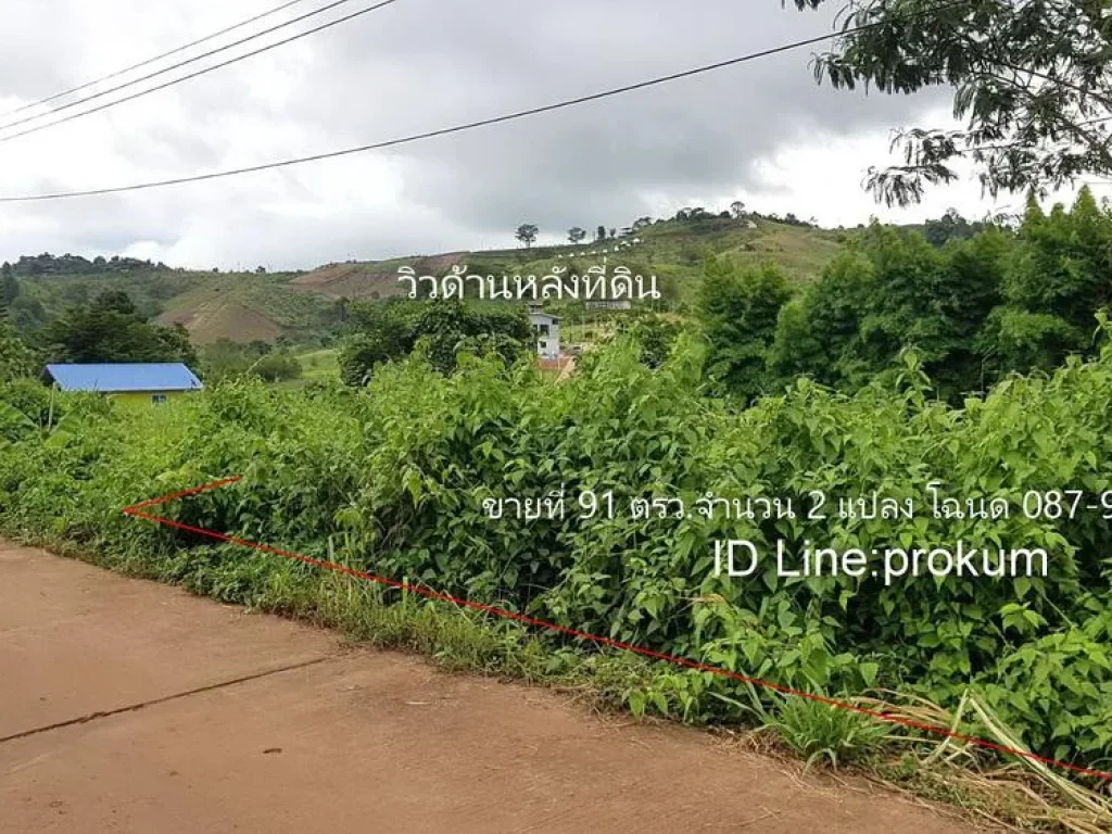 ขายที่ดิน 91 ตรวโฉนด อเขาค้อ 650000 บาท