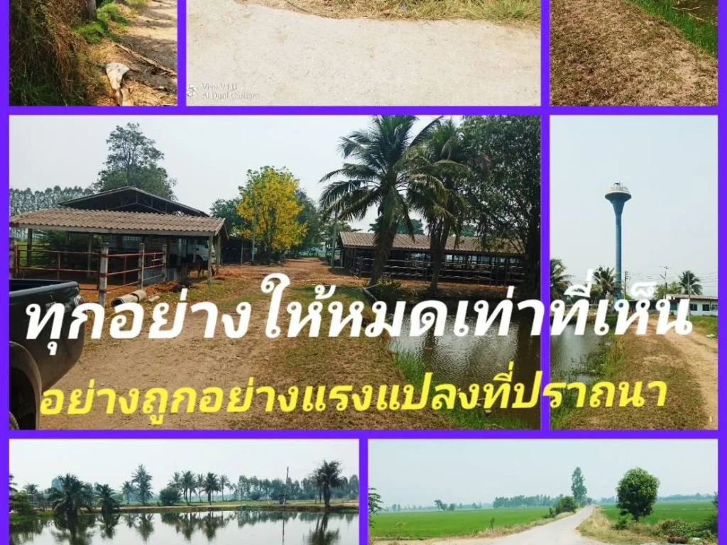 เพราะความจริงมีหนึ่งเดียวในย่านนี้ ที่ความพร้อมที่กล้าให้สวยมากอยากแนะนำ เป็นปลื้มกับแปลงที่เป็นประโยชน์ ด้วยศักยภาพที่มีี