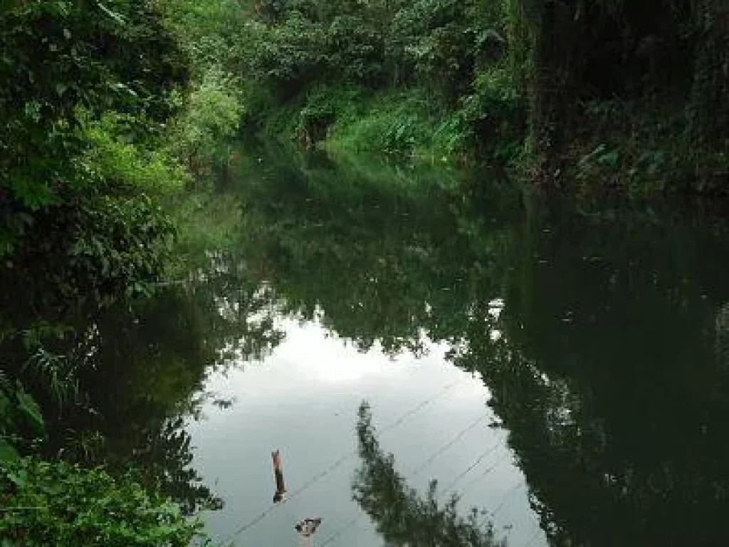 nice landscape closed the long River Lumtakong