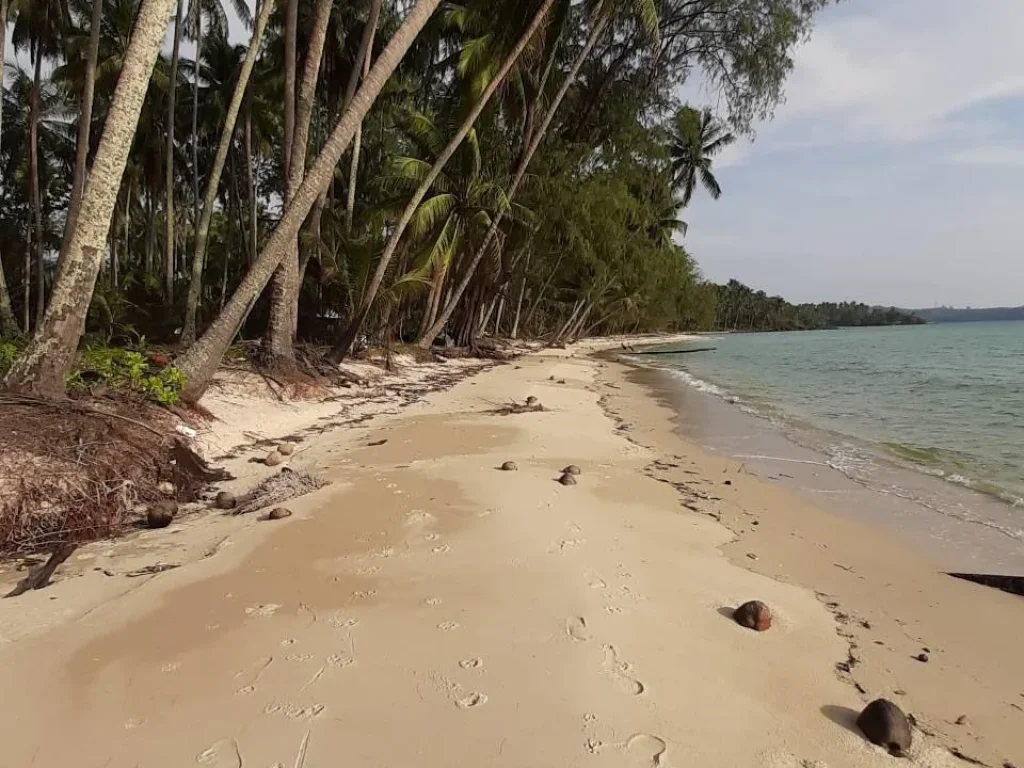 ที่ดินสวยติดชายหาดทะเล เกาะกูด จตราด