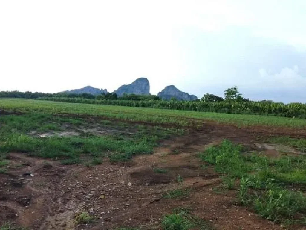 ขายที่ดินเปล่า อำเภอเขาฉกรรจ์ จังหวัดสระแก้ว