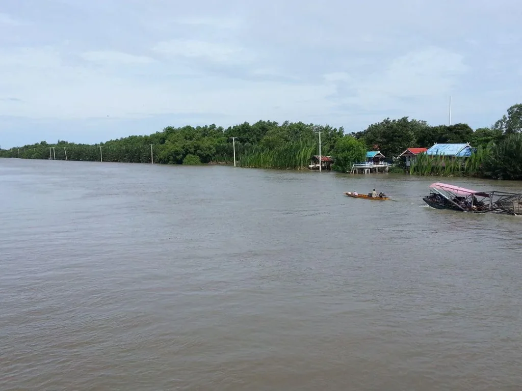 แบ่งขายที่ดิน2ไร่ ติดคลองสรรพสามิตร ด้านหน้าติดถนนบางขุนเทียนชายทะเล-เลียบคลองสรรพสามิต