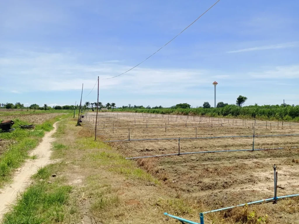 ขายที่ดิน10ไร่เศษหลังโรงเรียนบ้านพุค่ายถนนทุ่งหลวง-วัดสันติการาม ที่ดินเหมาะสมทำการเกษตรหรืออยู่อาศัยหลังเกษียณ2ล้าน