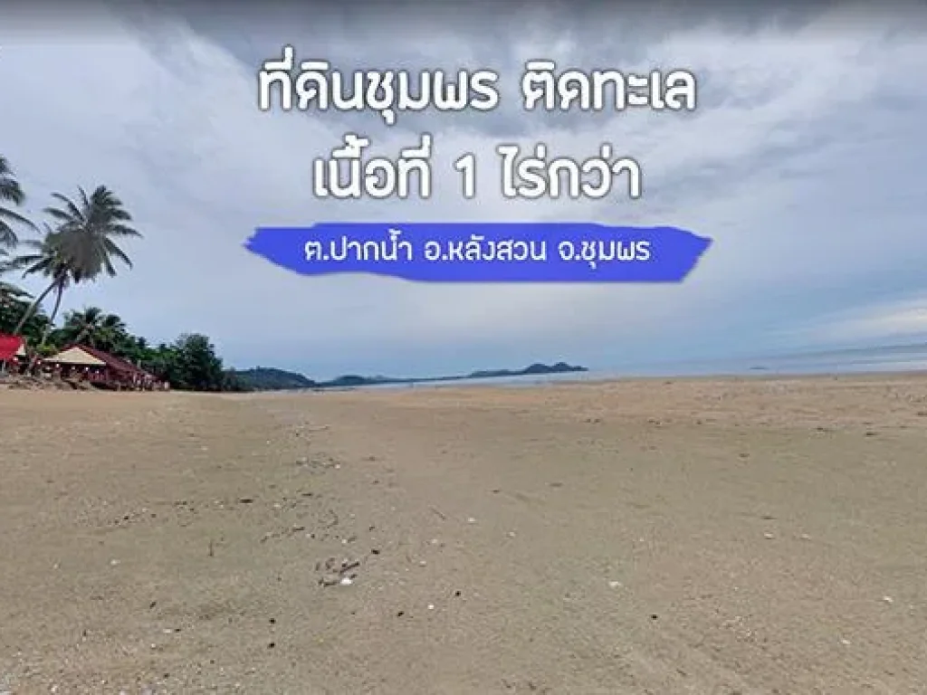 ขายที่ดินติดทะเล 1 ไร่ 6 ล้าน ที่ชุมพร