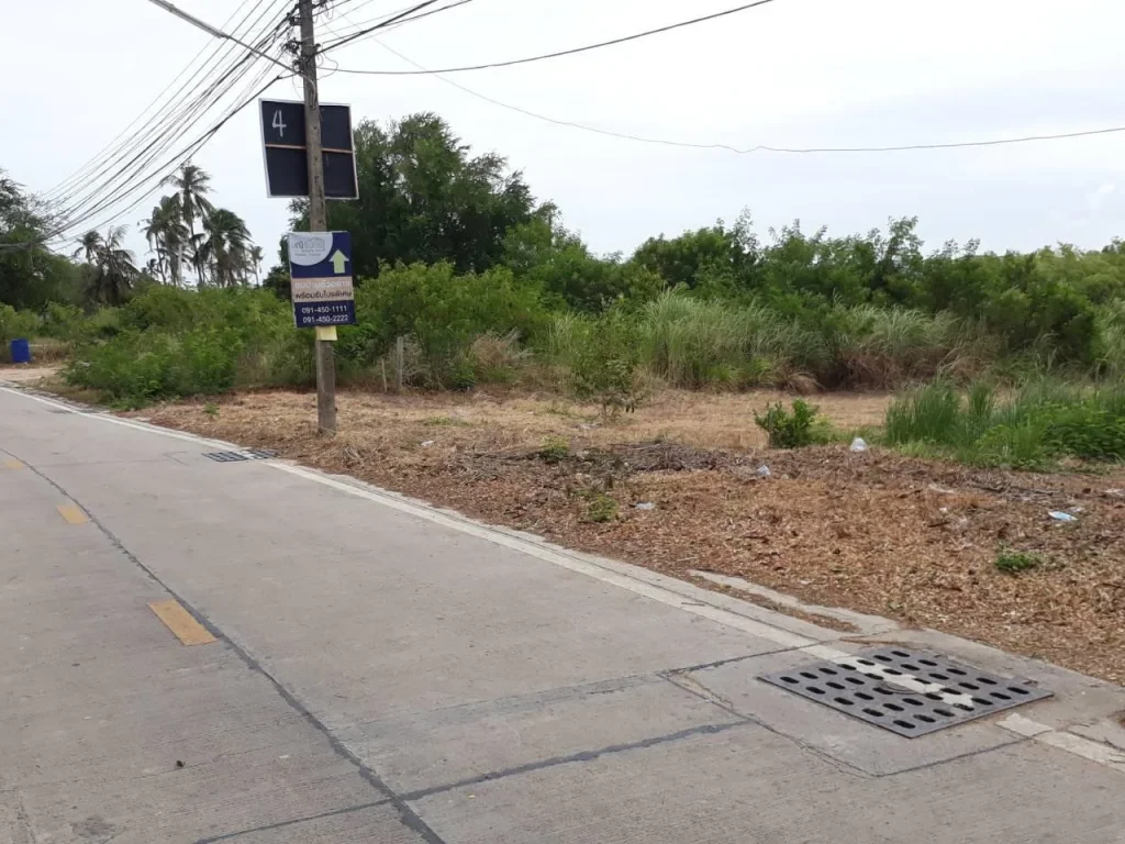 ที่ดิน 703 ตรวบางละมุง ใกล้สุขุมวิท รรศรีสุวิช 600 เมตร