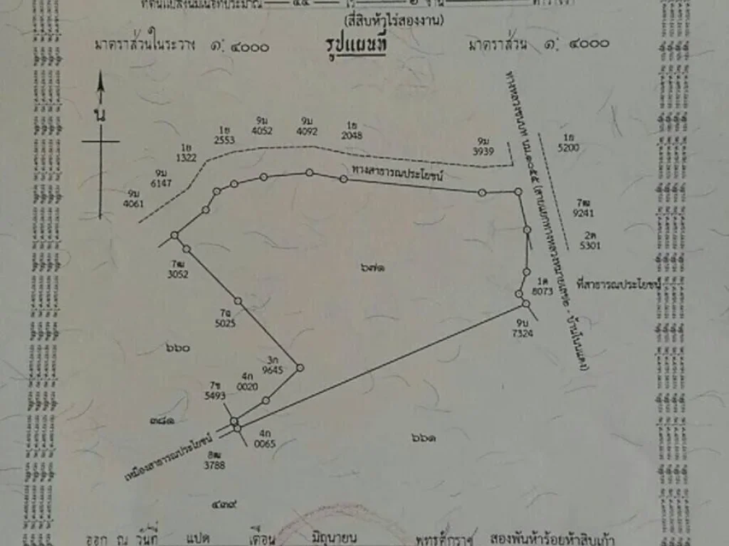 ขายที่นา 45 ไร่เเบ่งขาย