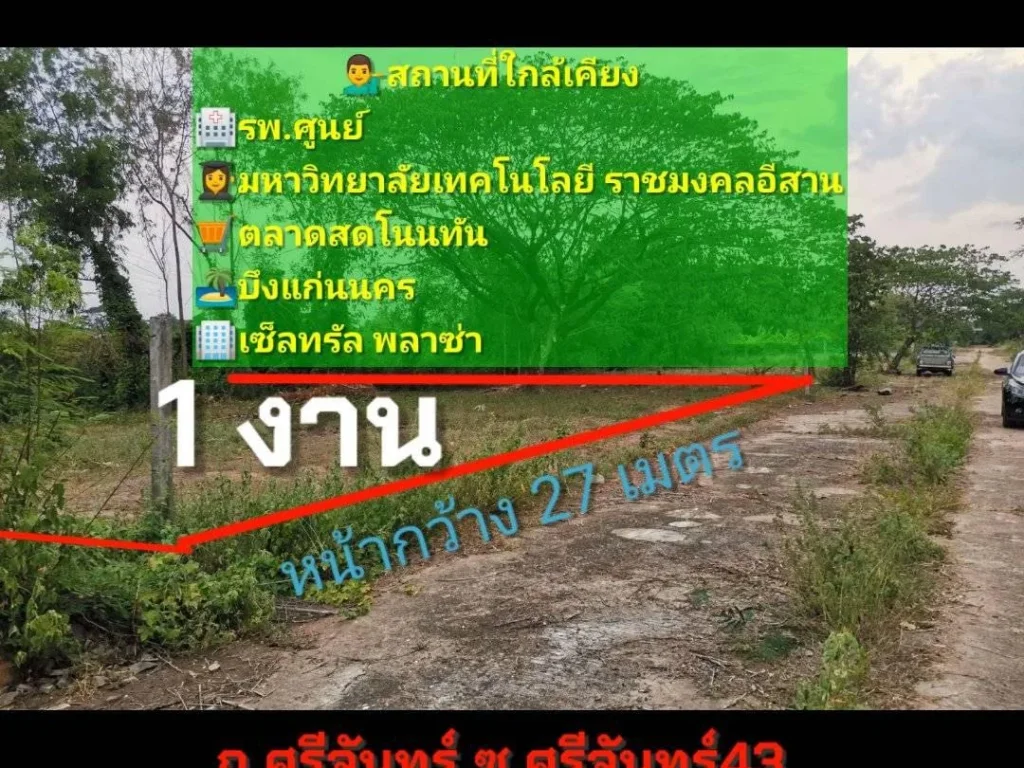 ขายที่ดิน100ตรว