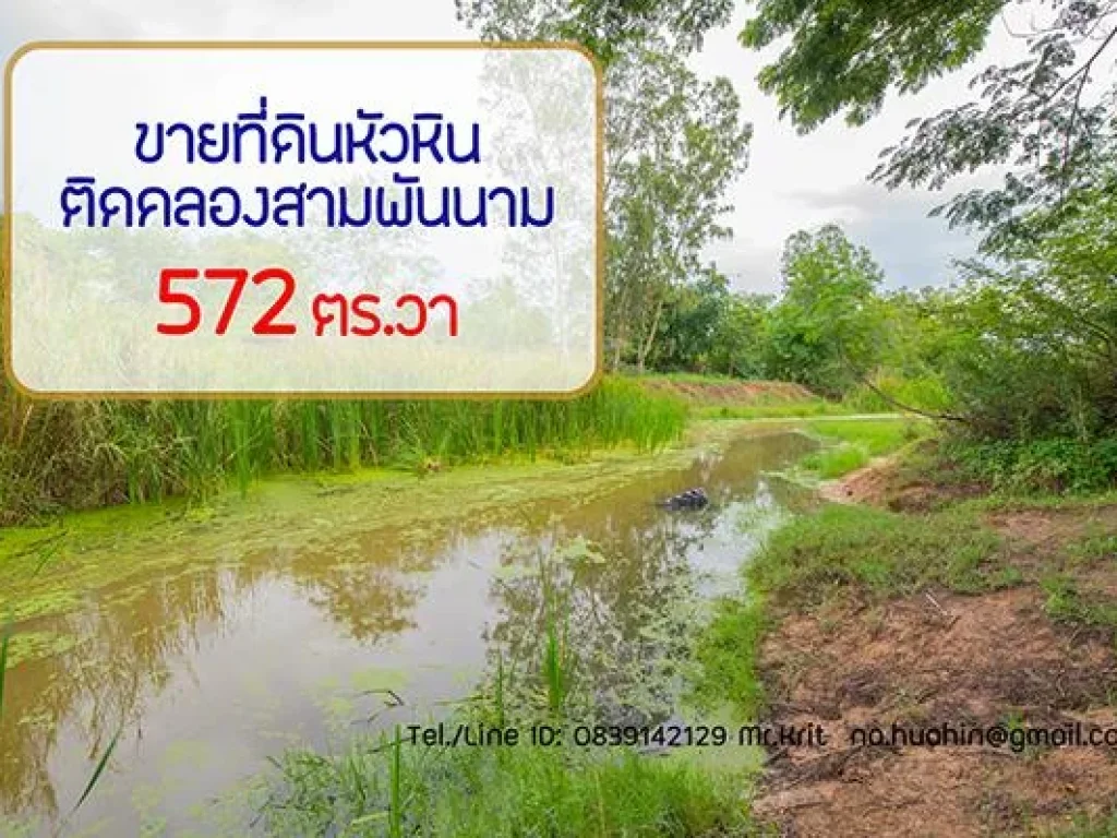 ขายที่ดินหัวหิน ติดคลอง โฉนด 572 ตรวา