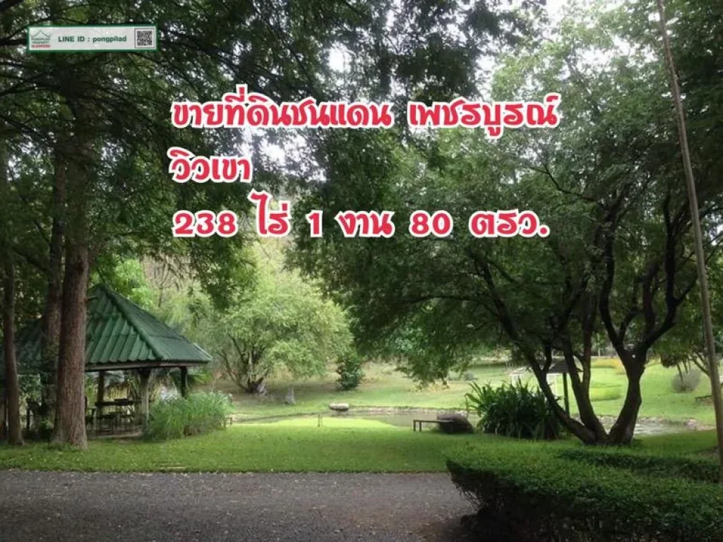 gt ขายที่ดิน บ้านพักตากอากาศ วิวเขา ชนแดน เพชรบูรณ์ 238 ไร่เศษ