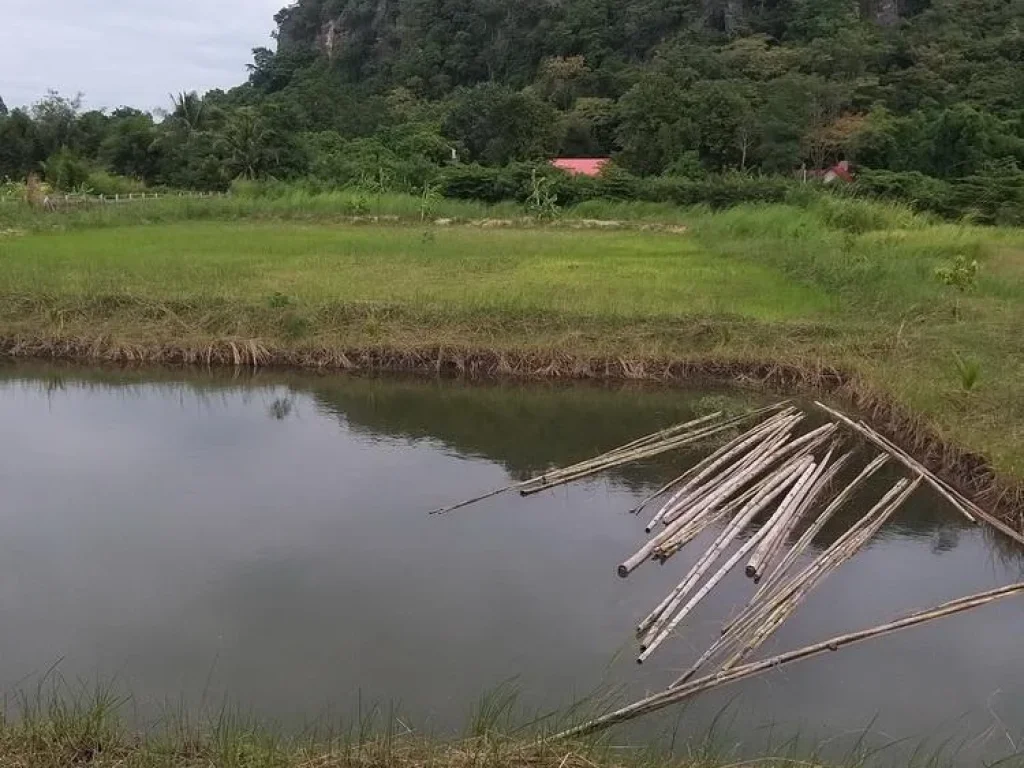 ขายที่โฉนด3ไร่ ติดเขา ติดคลอง วิวสวย