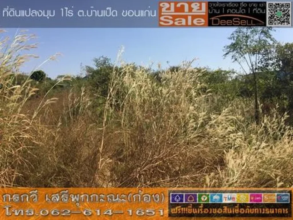 ขายที่ดินขอนแก่น 400ตรว ชุมพลพัฒนา ตบ้านเป็ด