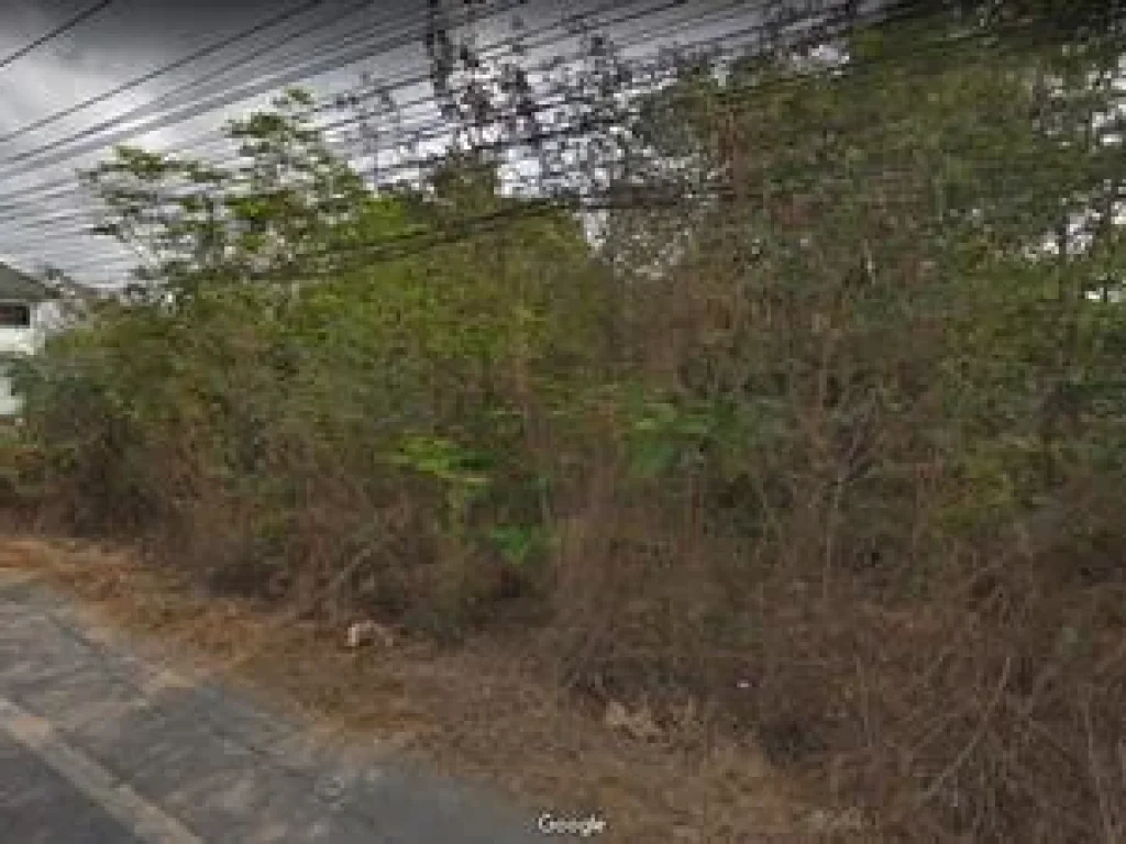 ขายที่ดิน48-1-87ไร่145ล้านบาทติดถนนคลองห้าคลองหลวง