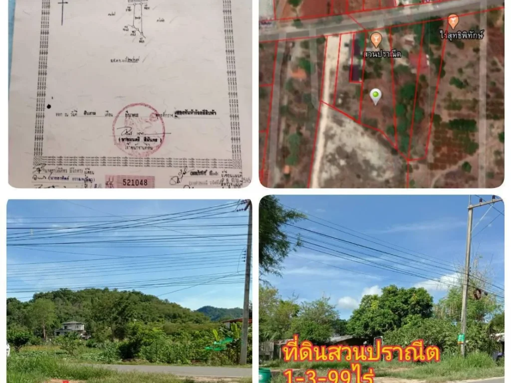 ที่ดินทำเลทองเขาใหญ่บรรยากาศโอโชน ขนาด 1-3-99 ไร่ ใกล้ถนนธนรัชต์ ตหมูสี อปากช่อง จนครราชสีมา