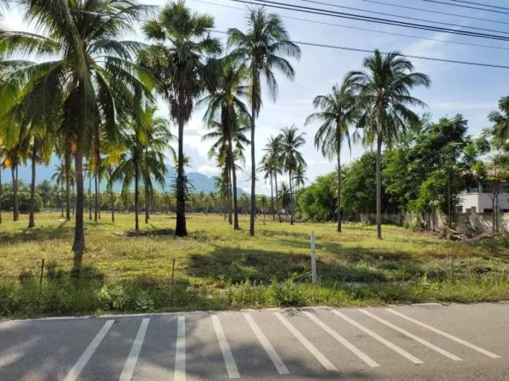 ขายที่ดิน ติดทะเล หาดสามร้อยยอด 32 ไร่เศษ สามารถสร้างตึกสูงได้ เหมาะ สร้างโรงแรม รีสอร์ท