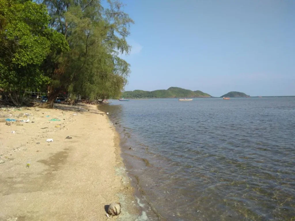 ขายที่ดินติดทะเล หาดเจ้าหลาว จันทบุรี 3 งาน 70 ตรว หาดส่วนตัว เอกสารสิทธิ์โฉนด