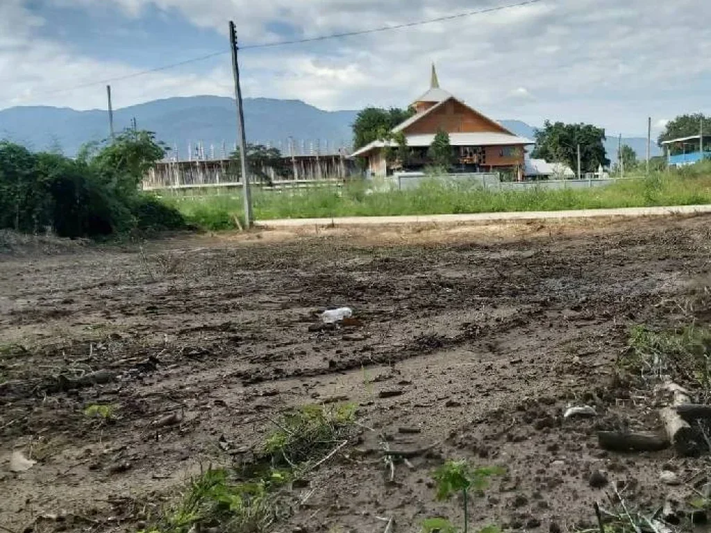 ขายที่ดินติดถนนคอนกรีต ห่างถนนหลักเพียง 150 เมตร สันผีเสื้อ ราคาถูก