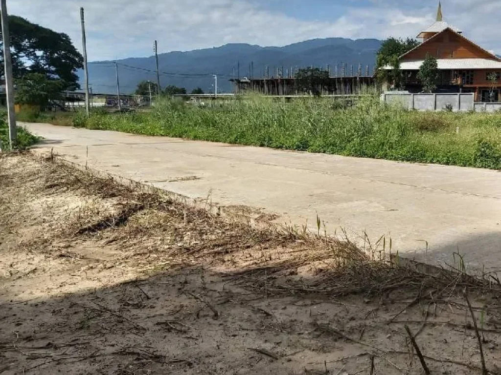 ขายที่ดินติดถนนคอนกรีต ห่างถนนหลักเพียง 150 เมตร สันผีเสื้อ ราคาถูก