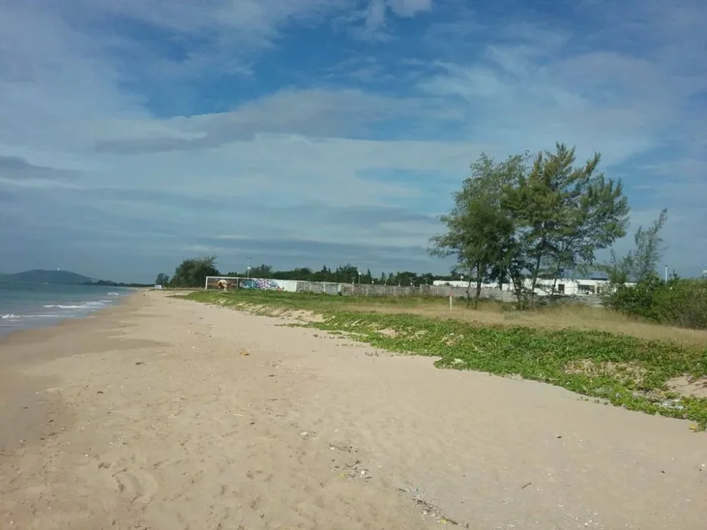 ขายที่ดินติดทะเลมีชายหาดส่วนตัว ติดหาดพลา บ้านฉาง ระยอง 88 ไร่ ใกล้สนามบินอู่ตะเภา ใกล้นิคมฯมาบตาพุต