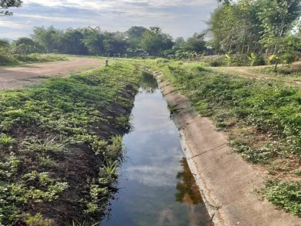 ขายที่ดินแปลงสวย ติดถนนหลักเชียงใหม่แม่โจ้-พร้าว วิวภูเขา ติดคลองชลประทาน จำนวน 52 ไร่