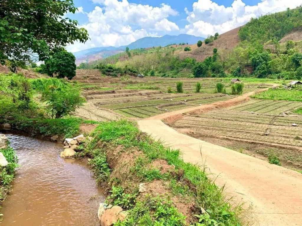 ขายที่ดินติดภูเขาขั้นบรรไดติดธารน้ำท่าผาเขตแม่แจ่ม ราคาถูก