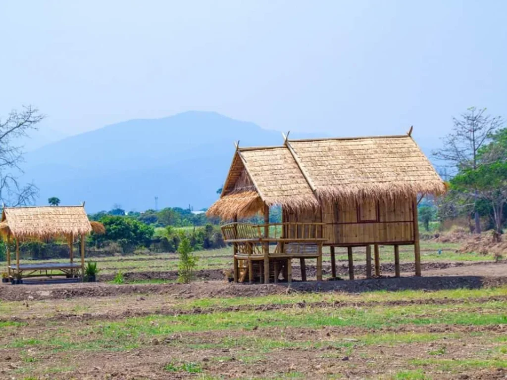 ขายที่ดินมีบ่อน้ำจอมทอง ราคาไม่ถึงล้าน