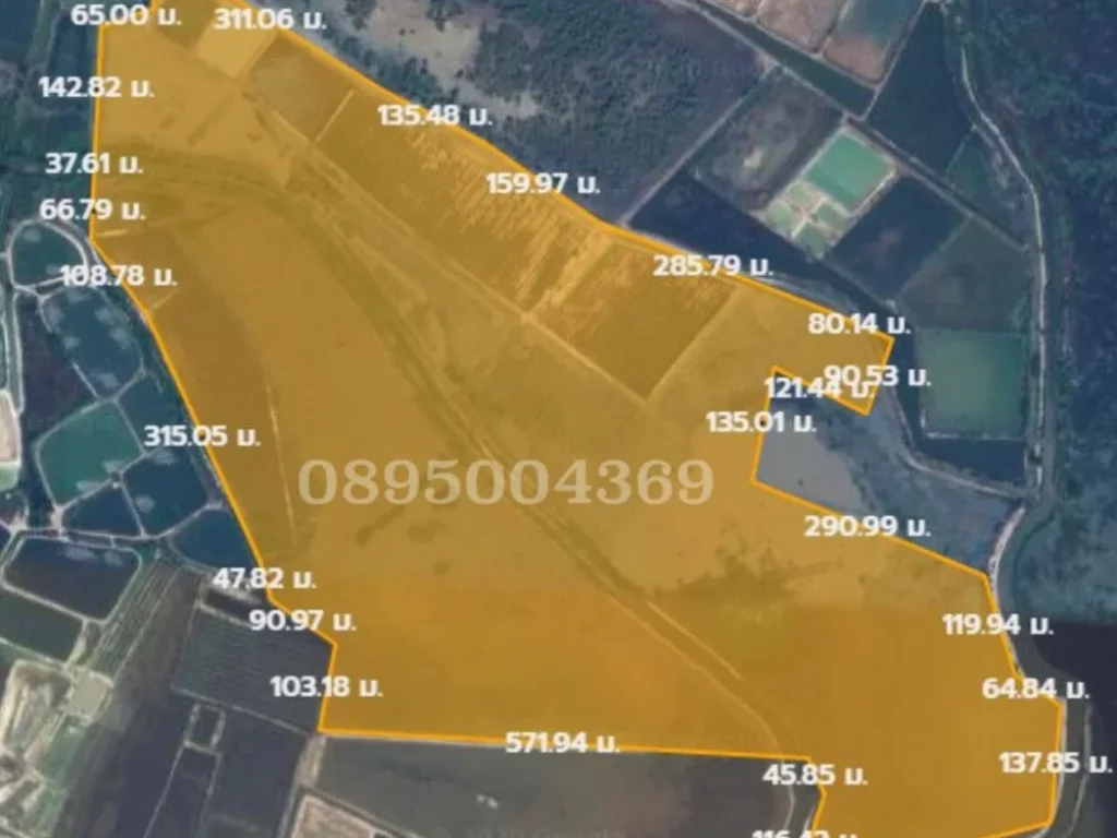 ขายที่ดิน ตศิลาลอย อสามร้อยยอด ประจวบคีรีขันธ์ 345 ไร่ ขายด่วน ร้อนเงิน