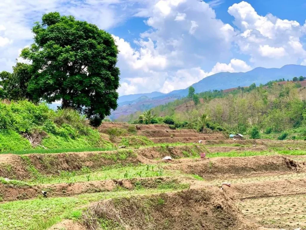 ขายที่ดินขั้นบรรได ติดธารน้ำ ท่าผาแม่แจ่ม เชียงใหม่