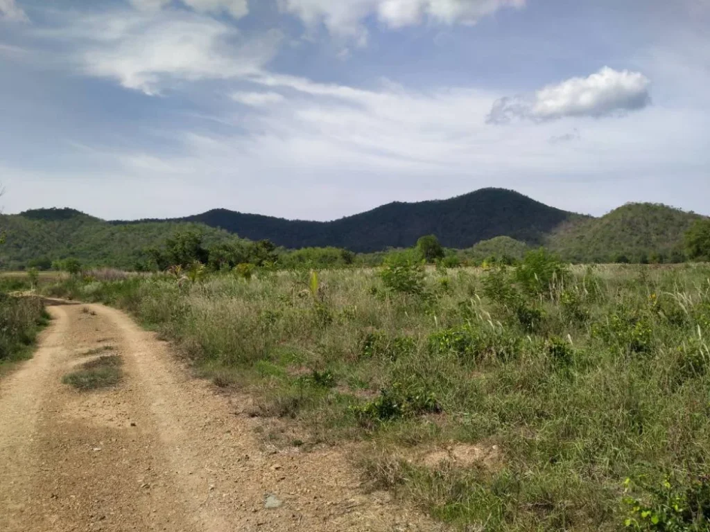 ขายที่ดิน 6 ไร่ วิวภูเขา ตกลัดหลวง อท่ายาง เพชรบุรี