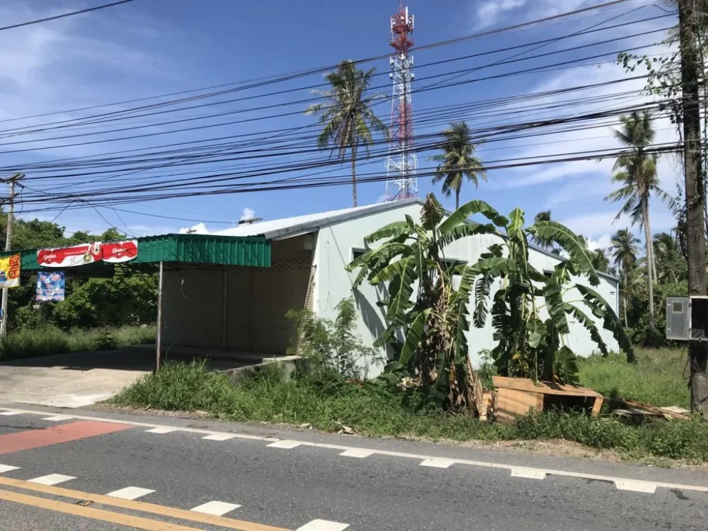 ที่ดินภูเก็ต ใกล้สนามบินและชายหาดไม้ขาว