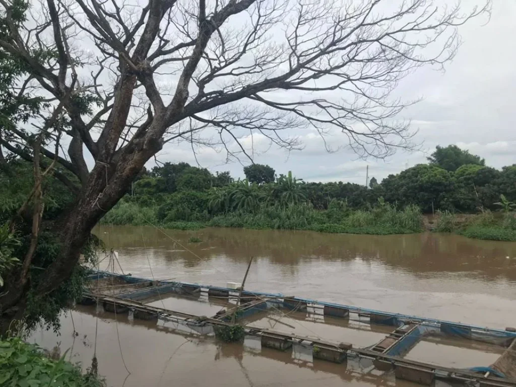 ที่ดินแบ่งขาย บ้านขุนคง หางดง-เชียงใหม่